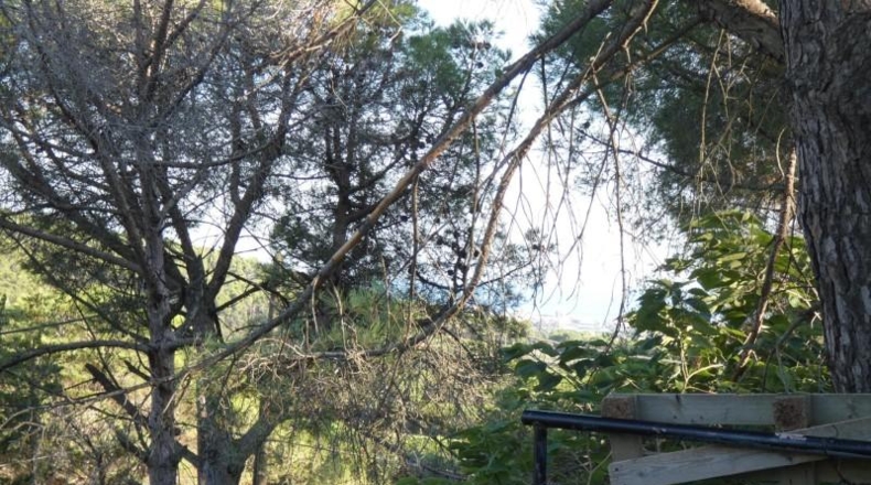 Barcelona - Calonge de Segarra - 883m2