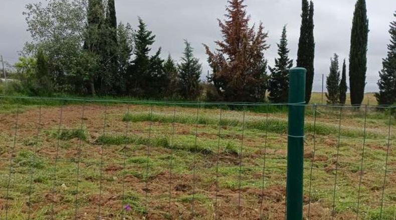 Huelva - Rociana del Condado - 12800m2