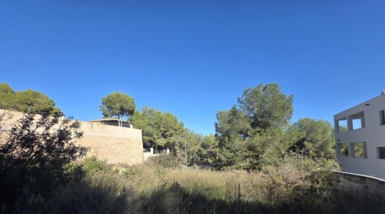 Alicante - Pilar de la Horadada - 804m2