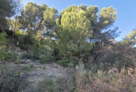 el Pilar de la Foradada 804&nbsp;m² 