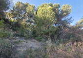 Sòl urbà en venda a la España, el Pilar de la Foradada, ref.: TR403296 foto