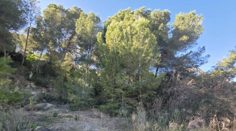 Alicante - Pilar de la Horadada - 804m2