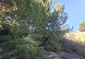 Sòl urbà en venda a la España, el Pilar de la Foradada, ref.: TR403296 foto