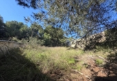 Sòl urbà en venda a la España, el Pilar de la Foradada, ref.: TR403296 foto