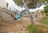 Casa de camp amb terreny en venda a la España, Mazarrón, ref.: TR153543 foto