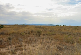 Montealegre del Castillo 71572&nbsp;м²