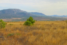 Montealegre del Castillo 71572&nbsp;м²