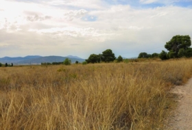 Montealegre del Castillo 71572&nbsp;м²