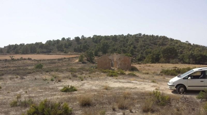 Murcia - Murcia - 60000m2