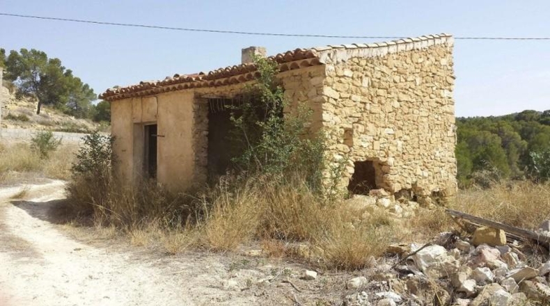 Murcia - Murcia - 60000m2