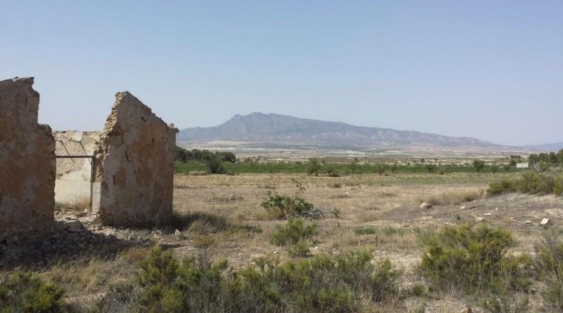 Murcia - Murcia - 60000m2