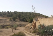 Casa de camp amb terreny en venda a la España, Múrcia, ref.: TR153289 foto