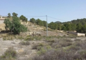 Casa de camp amb terreny en venda a la España, Múrcia, ref.: TR153289 foto