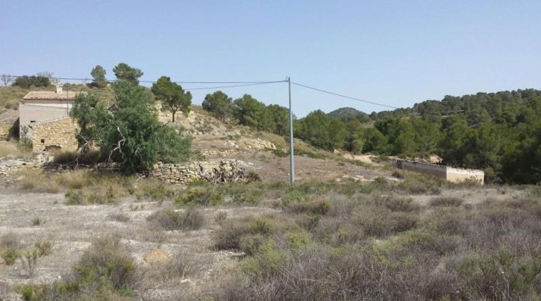 Murcia - Murcia - 60000m2