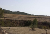 Casa de camp amb terreny en venda a la España, Múrcia, ref.: TR153289 foto