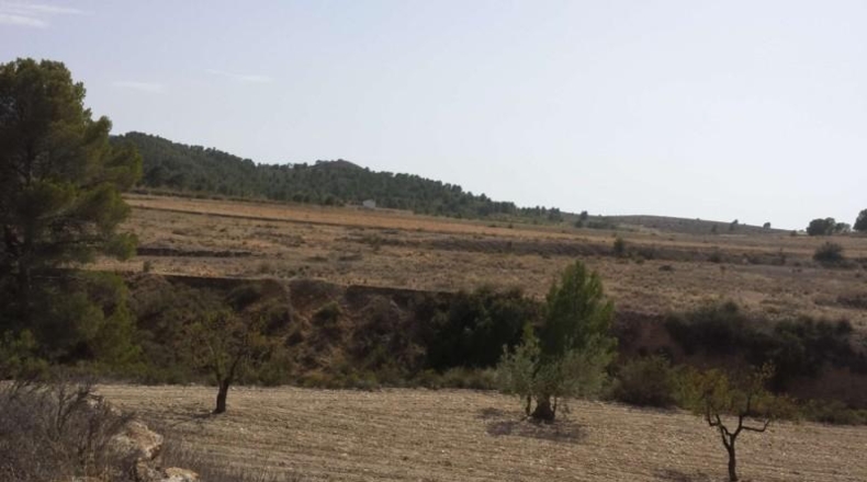 Murcia - Murcia - 60000m2