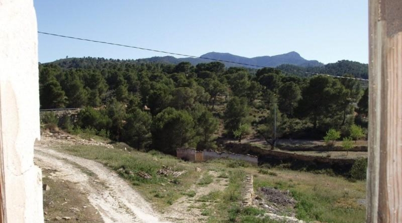 Murcia - Murcia - 60000m2