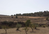 Casa de camp amb terreny en venda a la España, Múrcia, ref.: TR153289 foto