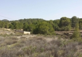 Casa de camp amb terreny en venda a la España, Múrcia, ref.: TR153289 foto