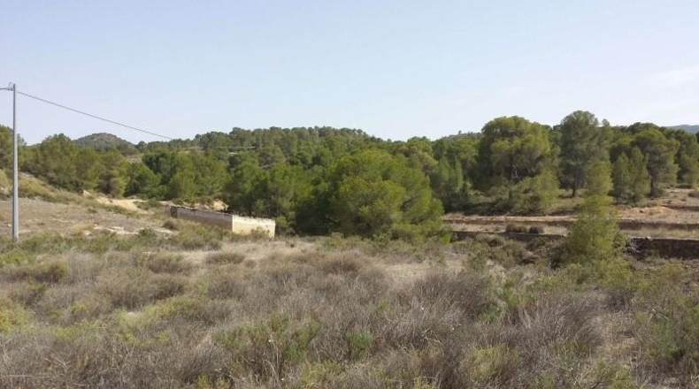 Murcia - Murcia - 60000m2