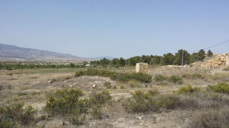Murcia - Murcia - 60000m2