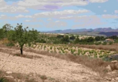 Casa de camp amb terreny en venda a la España, Múrcia, ref.: TR153289 foto