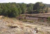 Casa de camp amb terreny en venda a la España, Múrcia, ref.: TR153289 foto