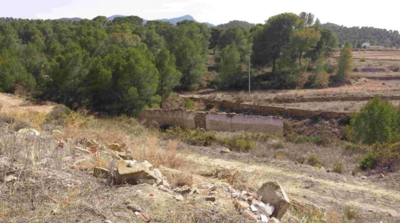 Murcia - Murcia - 60000m2