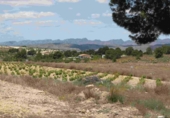 Casa de camp amb terreny en venda a la España, Múrcia, ref.: TR153289 foto