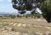Casa de camp amb terreny en venda a la España, Múrcia, ref.: TR153289 foto