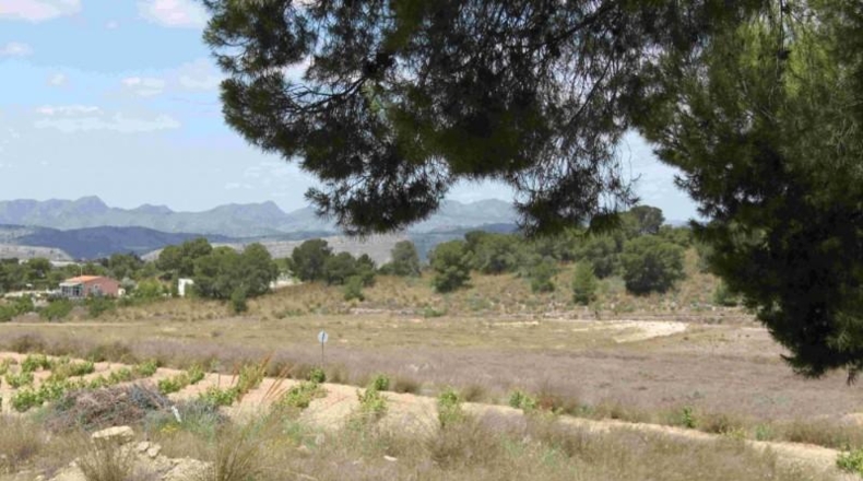 Murcia - Murcia - 60000m2