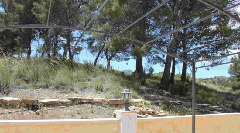 Murcia - Murcia - 60000m2