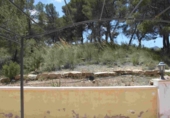 Casa de camp amb terreny en venda a la España, Múrcia, ref.: TR153289 foto