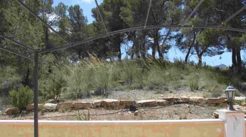 Murcia - Murcia - 60000m2
