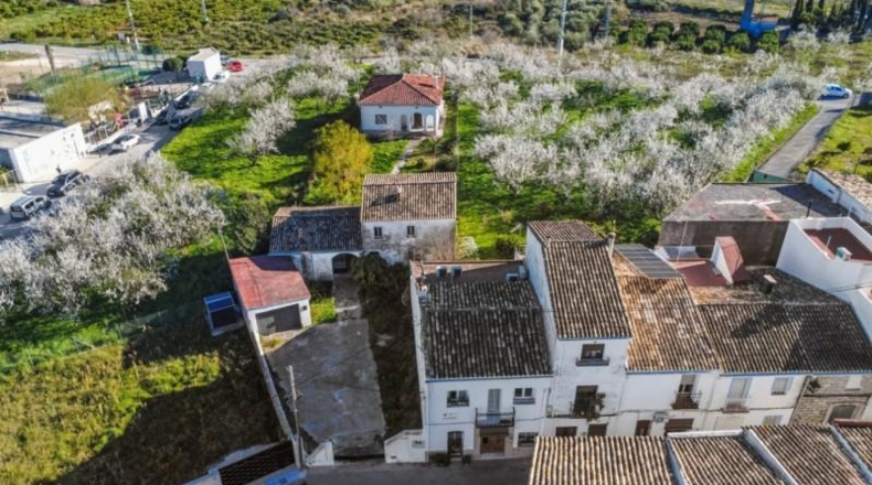Alicante - Murla - 5842m2