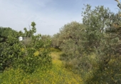 Xalet independent amb terreny en venda a la España, Carmona, ref.: TR406065 foto