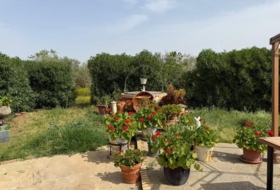 Carmona 2540&nbsp;m² 