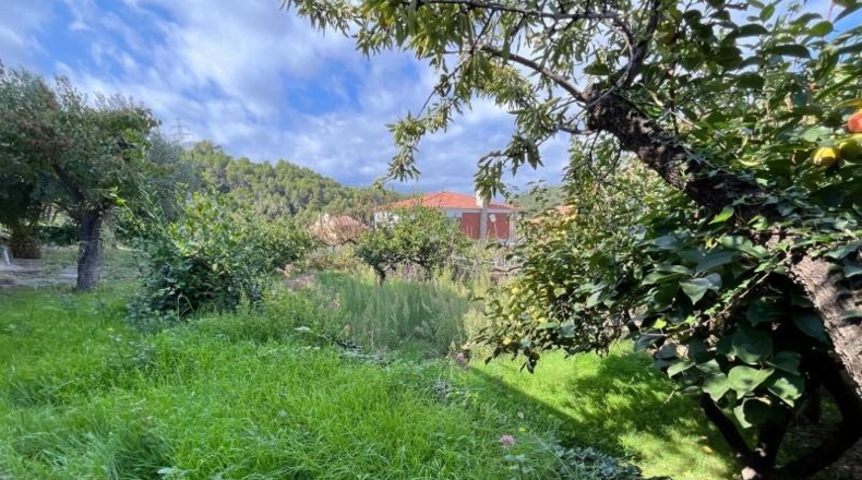 Barcelona - Santa Coloma de Cervelló - 595m2