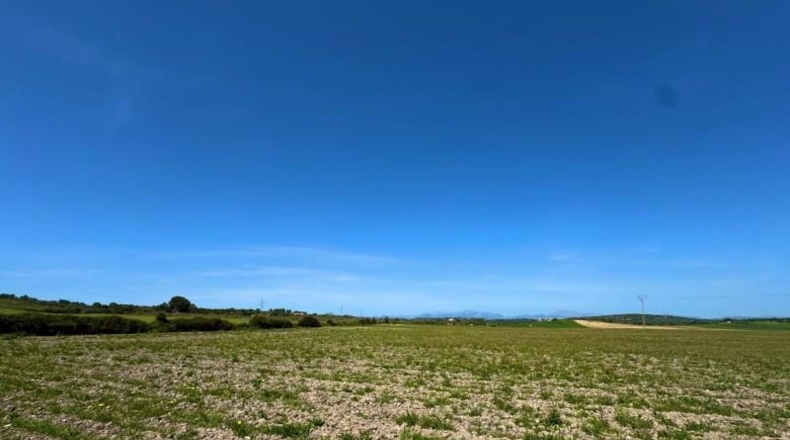 Illes Balears - Petra - 66250m2
