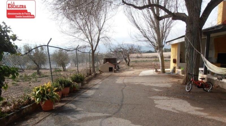 Alicante - Castalla - 41000m2