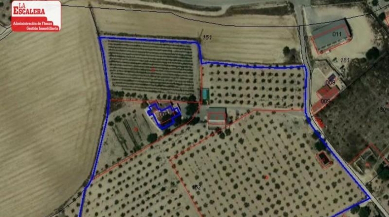 Alicante - Castalla - 41000m2