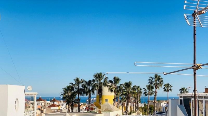 Alicante - Orihuela - 816m2