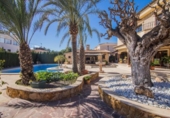 Chalet independiente con terreno en venta en la España, Elche, ref: TR401269 foto