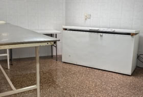 Foto 19