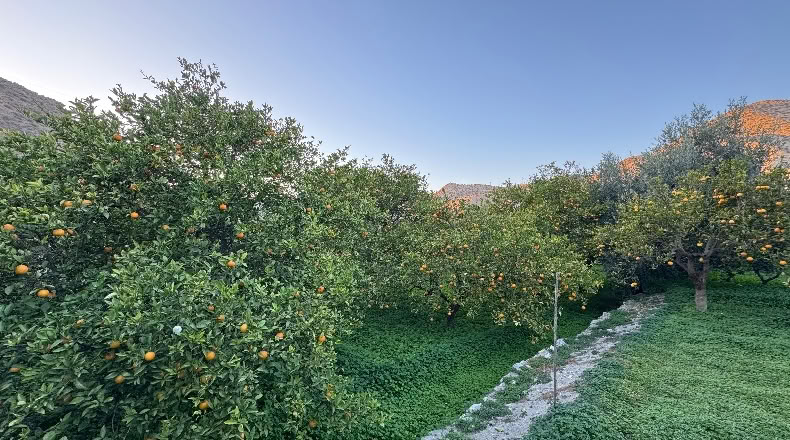 Almería - Alboloduy - 3270m2