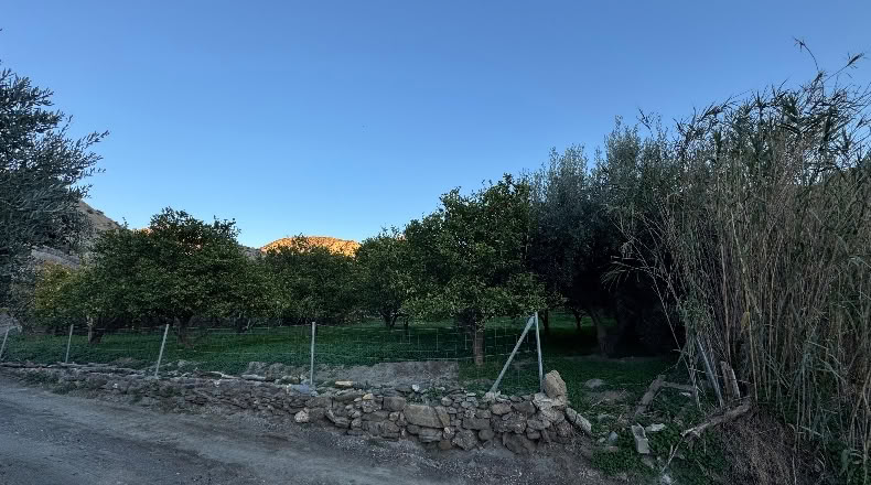 Almería - Alboloduy - 3270m2