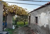 Terreny amb magatzem en venda a Alboloduy ref.: TR408146 foto