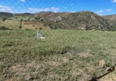 Terreny no urbanitzable en venda a Pizarra ref.: TR408155 foto