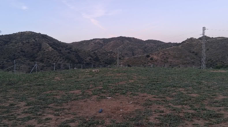 Málaga - Pizarra - 12200m2