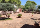 Casa de camp amb terreny en lloguer a la España, Cala Santanyí, ref.: TR408817 foto